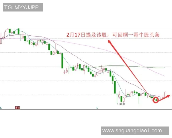 姚明最新持股动态分析及其对篮球产业的影响探讨