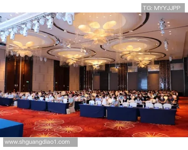 西安羽毛球队转型之路的真实记录与成长探索